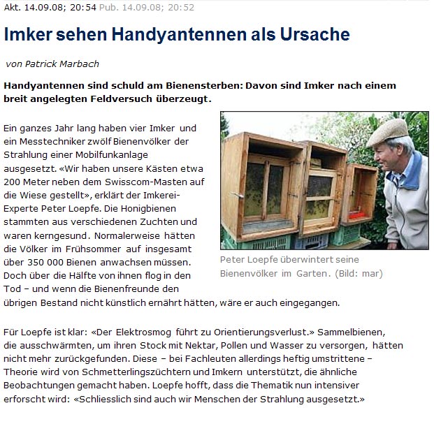 20 Minuten, 14.09.2008, Bienensterben